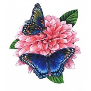 Meet your Posher, Cidney